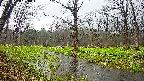 mizubasho5-20250420070014.jpg