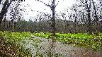 mizubasho5-20250420114017.jpg
