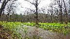 mizubasho5-20250420121019.jpg