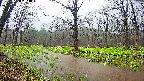 mizubasho5-20250420123020.jpg