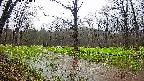 mizubasho5-20250420134018.jpg