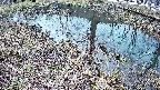 mizubasho6-20250403093029.jpg