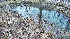 mizubasho6-20250403094029.jpg