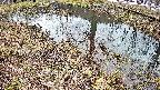 mizubasho6-20250403101031.jpg
