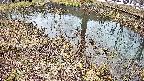 mizubasho6-20250403114025.jpg