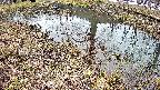 mizubasho6-20250403120031.jpg