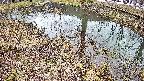 mizubasho6-20250403121031.jpg