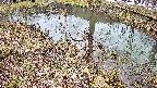 mizubasho6-20250403123031.jpg