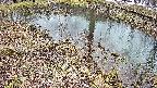 mizubasho6-20250403131033.jpg