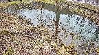 mizubasho6-20250403133030.jpg