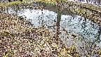 mizubasho6-20250403134033.jpg