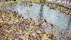 mizubasho6-20250403140030.jpg