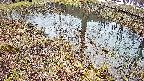 mizubasho6-20250403153031.jpg
