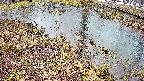 mizubasho6-20250403155029.jpg
