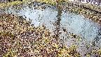 mizubasho6-20250403162029.jpg