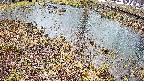 mizubasho6-20250403164028.jpg