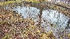 mizubasho6-20250403171029.jpg