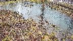 mizubasho6-20250403172031.jpg