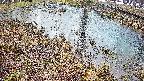 mizubasho6-20250403173031.jpg