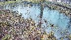 mizubasho6-20250403175029.jpg