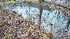 mizubasho6-20250404053030.jpg