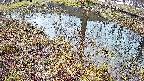 mizubasho6-20250404061030.jpg