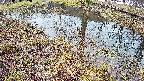 mizubasho6-20250404062029.jpg