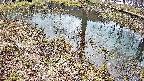 mizubasho6-20250404140029.jpg