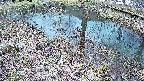mizubasho6-20250404155030.jpg