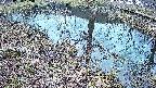 mizubasho6-20250404175030.jpg