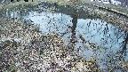 mizubasho6-20250405050027.jpg