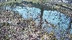 mizubasho6-20250405051030.jpg