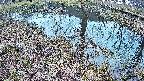 mizubasho6-20250405052031.jpg