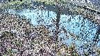 mizubasho6-20250405053032.jpg