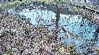 mizubasho6-20250405054030.jpg