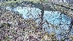 mizubasho6-20250405055032.jpg