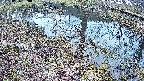 mizubasho6-20250405060031.jpg