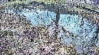 mizubasho6-20250405061029.jpg