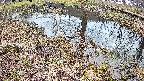 mizubasho6-20250405062031.jpg