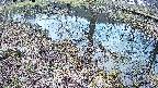 mizubasho6-20250405063029.jpg