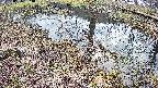 mizubasho6-20250405064031.jpg