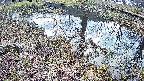 mizubasho6-20250405065029.jpg