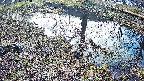 mizubasho6-20250405071029.jpg