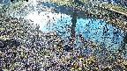 mizubasho6-20250405072030.jpg