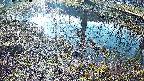 mizubasho6-20250405073030.jpg