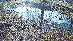 mizubasho6-20250405074027.jpg