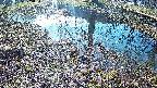 mizubasho6-20250405075028.jpg
