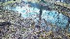 mizubasho6-20250405080029.jpg