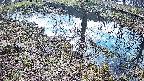 mizubasho6-20250405081028.jpg