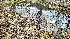 mizubasho6-20250405084031.jpg